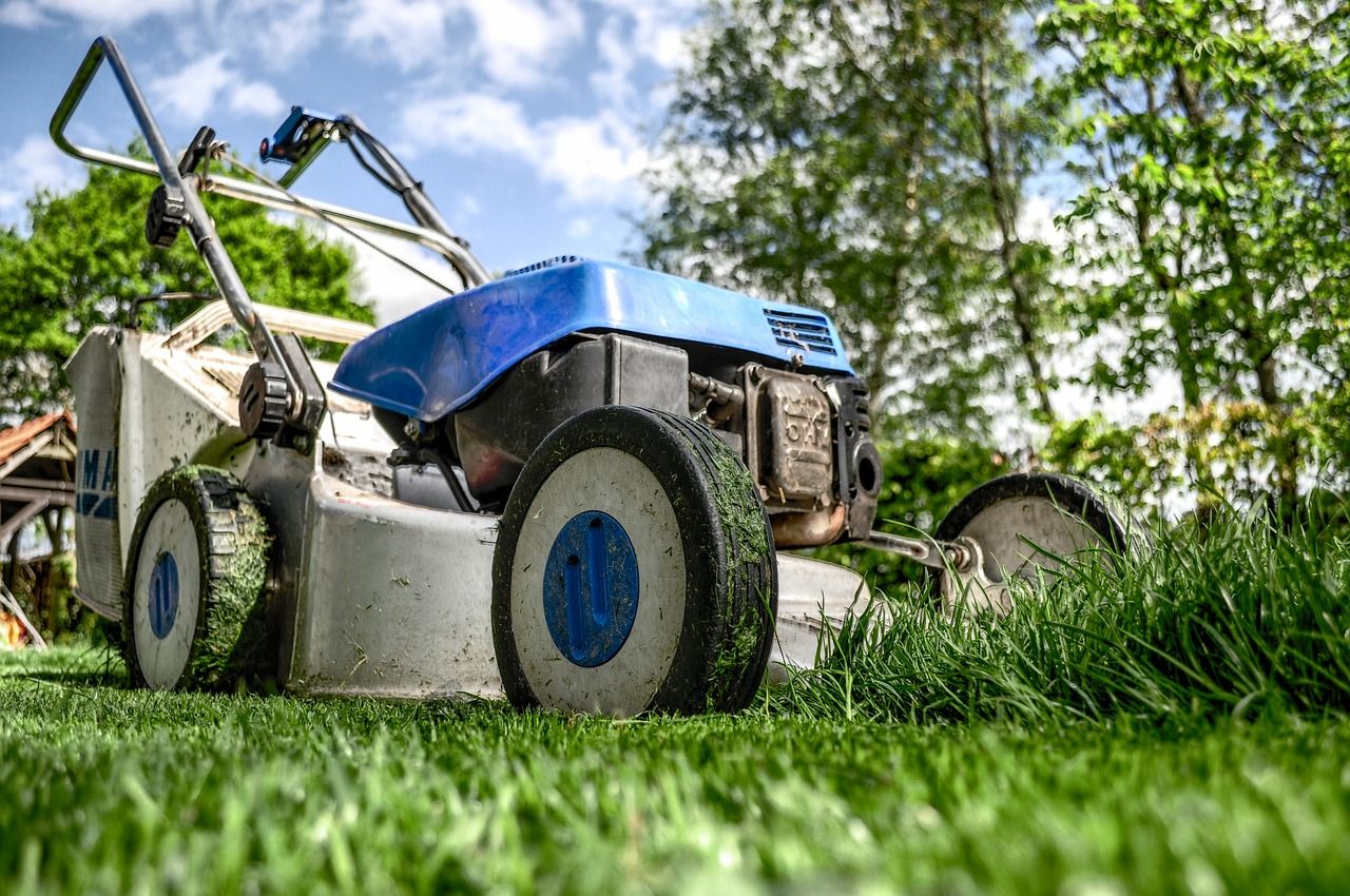 With what and when you should mow the lawn